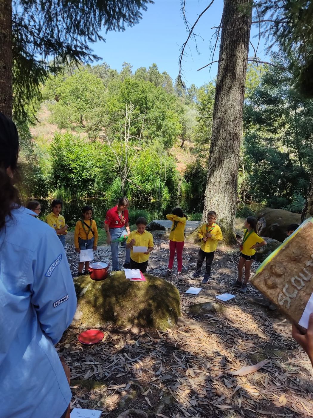 Scouts photo 2